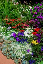 flower gardens