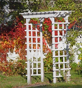 diy tip for gardening build a arbour diy tip for gardening build a arbour