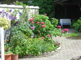 Patio Garden