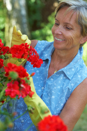 garden gloves