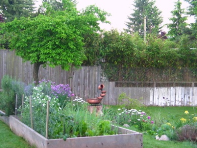 raised garden beds