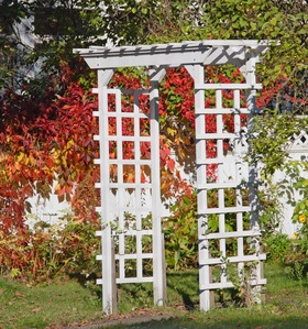 diy tip for gardening build a arbour