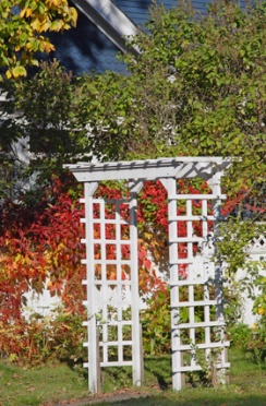 Trellises, Arbors and Pergolas