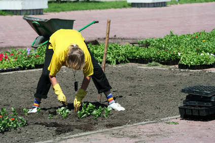 Inground Garden Beds