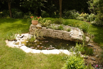 crystal water gardening crystal water gardening